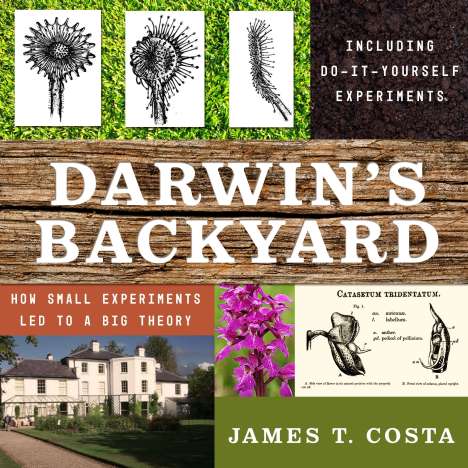 Darwins Backyard D, CD