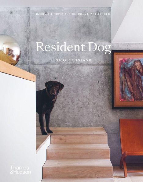 Text: "Resident Dog" von Nicole England. Ein schwarzer Hund steht auf einer Holztreppe vor einer Betonzimmerwand.