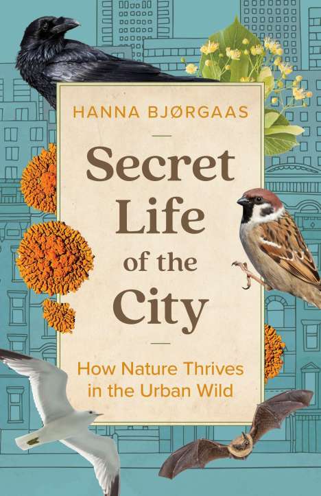 Hanna Hagen BjÃ¸rgaas: Secret Life of the City, Buch