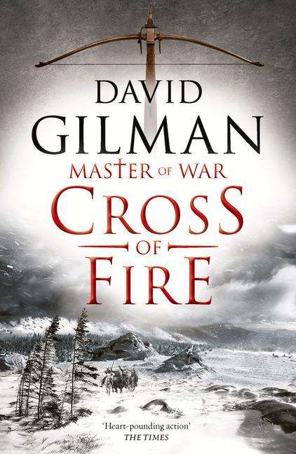 David Gilman: Cross of Fire: Volume 6, Buch