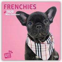 Browntrout Uk: Frenchies 2020 Square Wall Calendar, Diverse