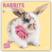 Myrna Huijing: Huijing, M: Rabbits Rule - Kaninchen 2021 - 18-Monatskalende, Kalender