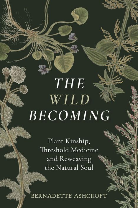 Der Text lautet: „The Wild Becoming: Plant Kinship, Threshold Medicine and Reweaving the Natural Soul“ von Bernadette Ashcroft. Es ist eine botanische Illustration mit verschiedenen Pflanzen und Kräutern auf dunklem Hintergrund.