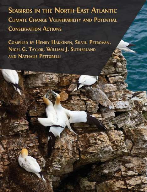 Henry Häkkinen: Seabirds in the North-East Atlantic, Buch