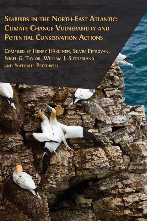 Henry Häkkinen: Seabirds in the North-East Atlantic, Buch