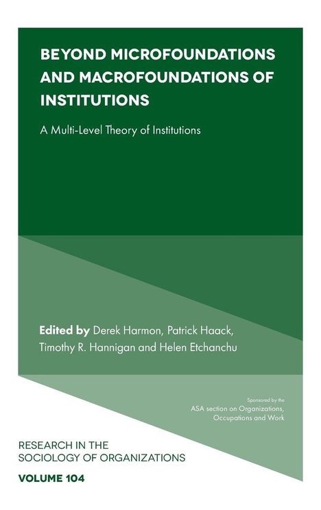 Titel: "BEYOND MICROFOUNDATIONS AND MACROFOUNDATIONS OF INSTITUTIONS"; Grüntöne und Textblöcke; formales Layout.
