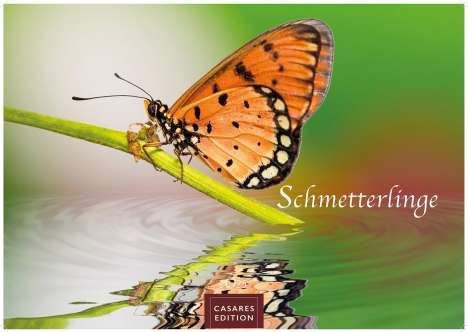Schmetterlinge 2025 L 35x50cm, Kalender