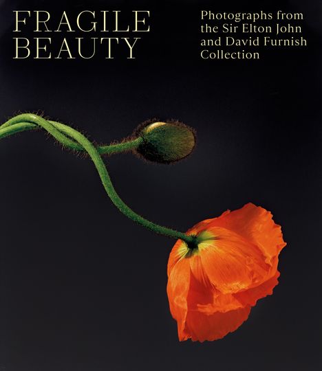 Fragile Beauty, Buch