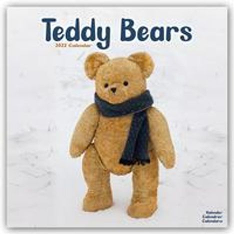 Teddy Bears - Teddybären 2022 - 16-Monatskalender, Kalender