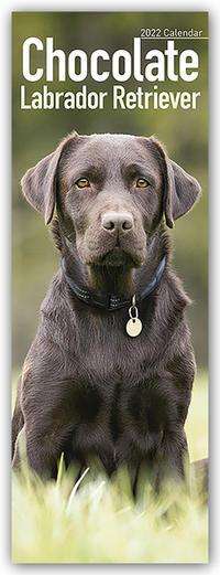 Chocolate Labrador Retrievers - Braune Labradore 2022, Kalender