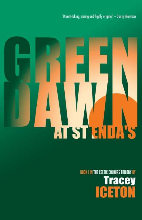Tracey Iceton: Green Dawn at St Enda's, Buch