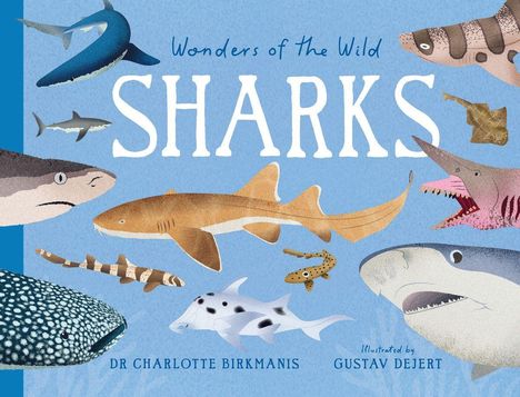 Text: "Wonders of the Wild: Sharks", "Dr Charlotte Birkmanis", "Illustrated by Gustav Dejert". Illustrationen von Haien.