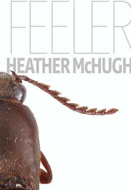 Heather Mchugh: Feeler, Buch