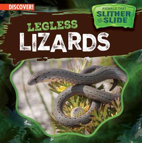Theresa Emminizer: Legless Lizards, Buch