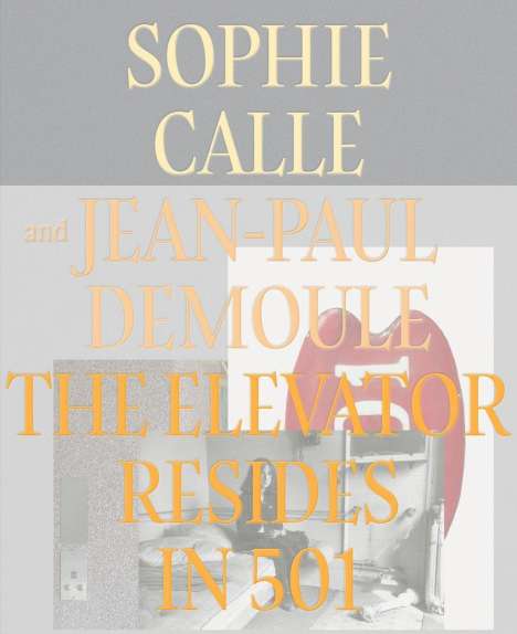 Jean-Paul Demoule: The Elevator Resides in 501, Buch