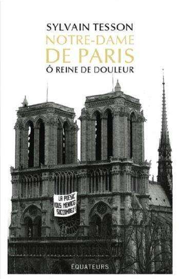 Sylvain Tesson: Notre-Dame de Paris, Buch