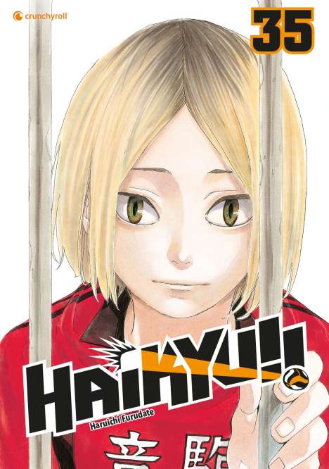 Haruichi Furudate: Haikyu!! - Band 35, Buch