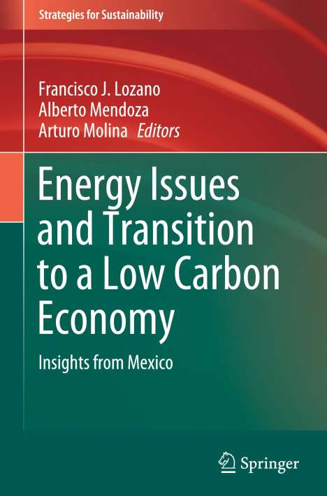 Energy Issues and Transition to a Low Carbon Economy, Buch