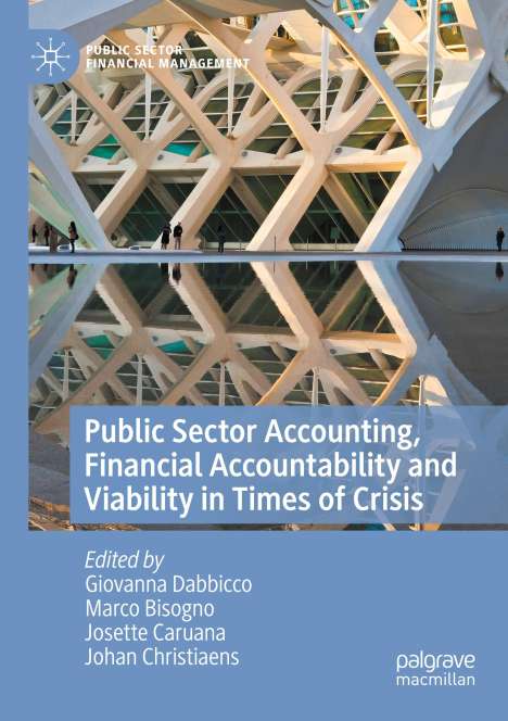 Public Sector Accounting, Financial Accountability and Viability in Times of Crisis, Buch