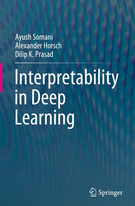 Ayush Somani: Interpretability in Deep Learning, Buch