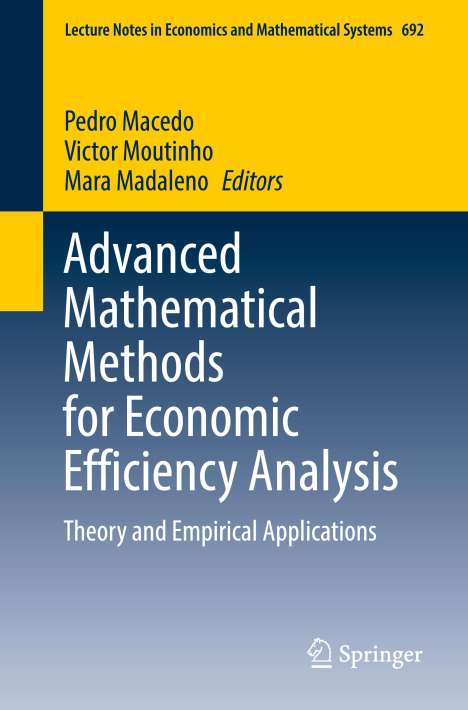 Advanced Mathematical Methods for Economic Efficiency Analysis, Buch