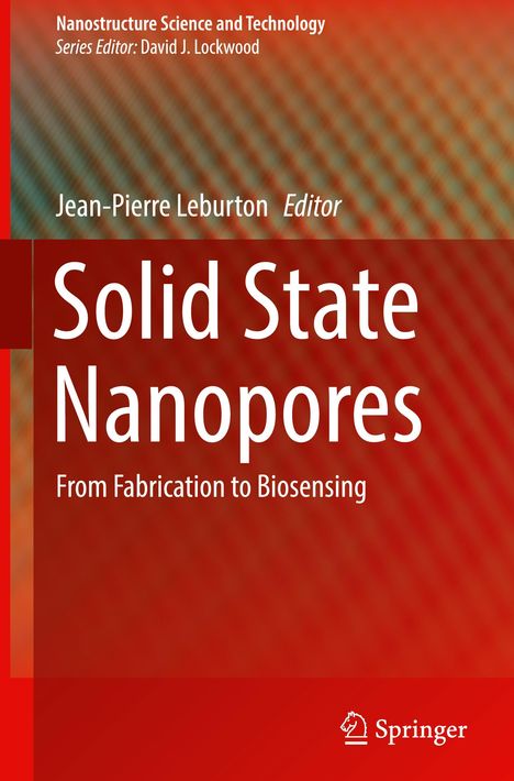 Solid State Nanopores, Buch