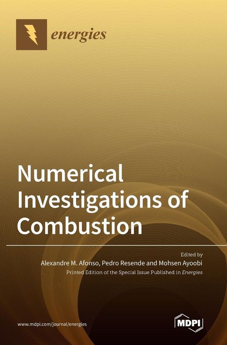 Numerical Investigations of Combustion, Buch