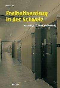 Daniel Fink: Freiheitsentzug in der Schweiz, Buch
