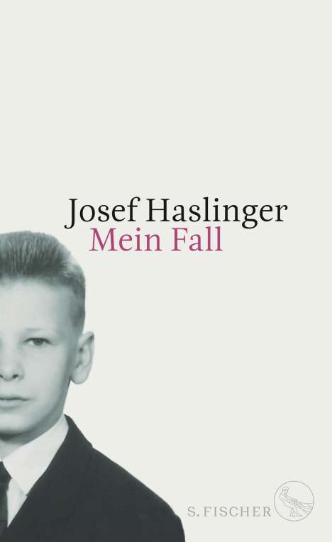 Josef Haslinger: Mein Fall, Buch