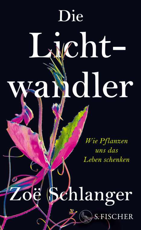 Zoë Schlanger: Die Lichtwandler, Buch
