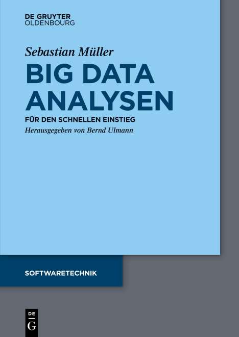 Sebastian Müller: Big Data Analysen, Buch