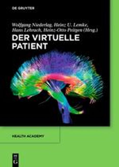 Wolfgang Niederlag: Der virtuelle Patient, Buch