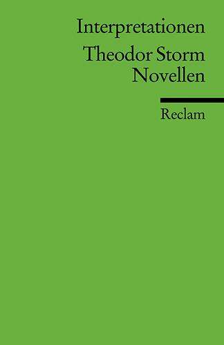 Interpretationen: Theodor Storm. Novellen, Buch