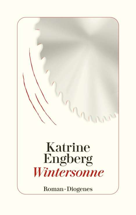 Katrine Engberg: Wintersonne, Buch