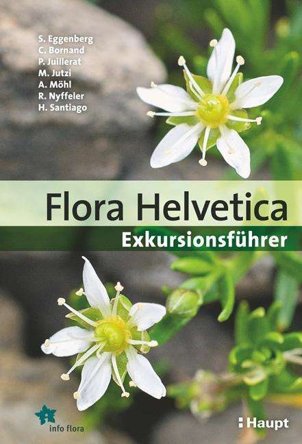 Stefan Eggenberg: Eggenberg, S: Flora Helvetica - Exkursionsführer, Buch