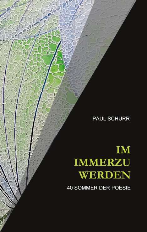 Paul Schurr: Im Immerzu Werden, Buch
