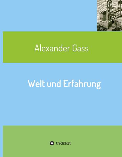 Alexander Gass: Welt und Erfahrung, Buch