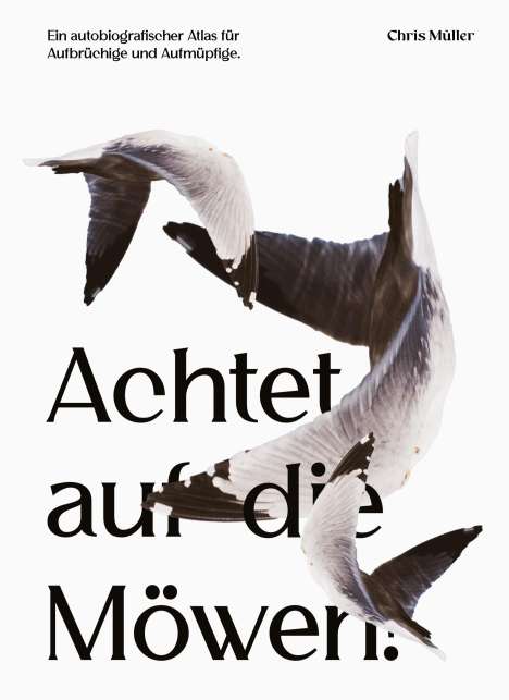 Chris Müller: Achtet auf die Möwen!, Buch