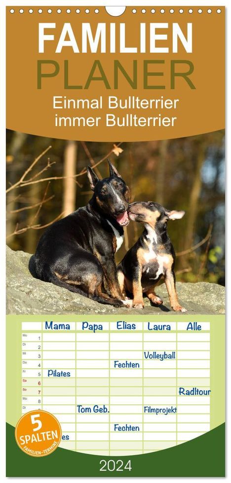 Yvonne Janetzek: Familienplaner 2024 - Einmal Bullterrier - immer Bullterrier mit 5 Spalten (Wandkalender, 21 x 45 cm) CALVENDO, Kalender