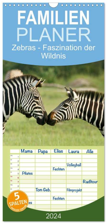 Nadine Haase: Familienplaner 2024 - Zebras - Faszination der Wildnis mit 5 Spalten (Wandkalender, 21 x 45 cm) CALVENDO, Kalender