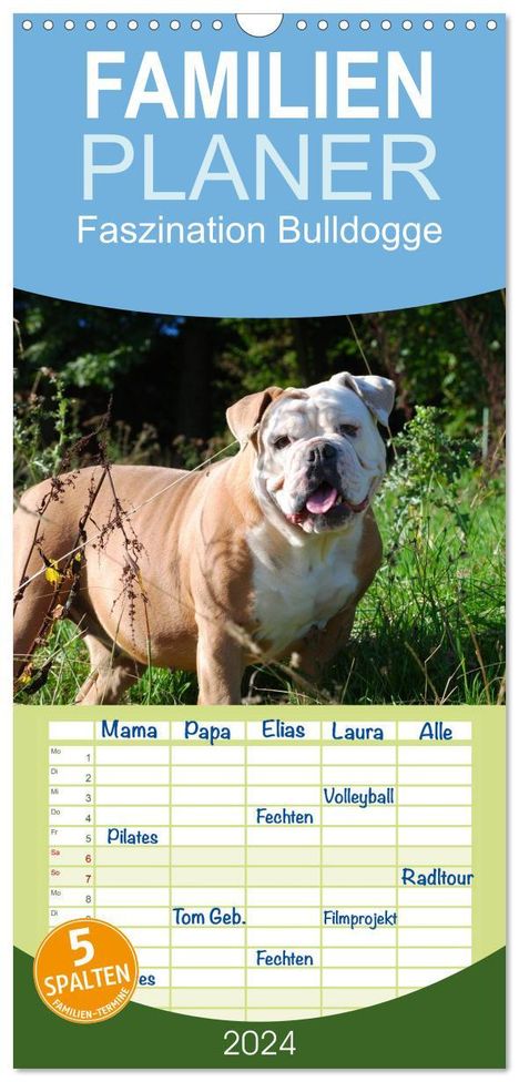 Elisabeth Stanzer: Familienplaner 2024 - Faszination Bulldogge mit 5 Spalten (Wandkalender, 21 x 45 cm) CALVENDO, Kalender