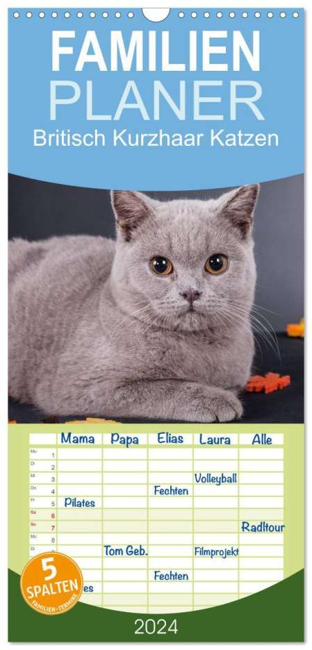 Gabriela Wejat-Zaretzke: Familienplaner 2024 - Britisch Kurzhaar Katzen mit 5 Spalten (Wandkalender, 21 x 45 cm) CALVENDO, Kalender
