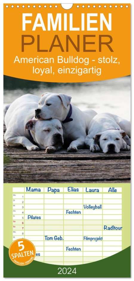 Denise Schmöhl: Familienplaner 2024 - American Bulldog - stolz, loyal, einzigartig mit 5 Spalten (Wandkalender, 21 x 45 cm) CALVENDO, Kalender