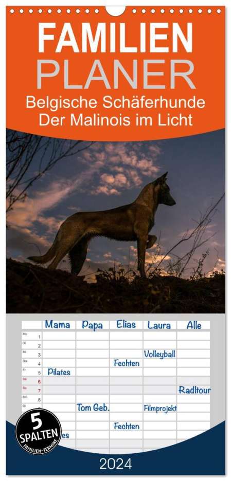 Tanja Brandt: Familienplaner 2024 - Belgische Schäferhunde - Der Malinois im Licht mit 5 Spalten (Wandkalender, 21 x 45 cm) CALVENDO, Kalender