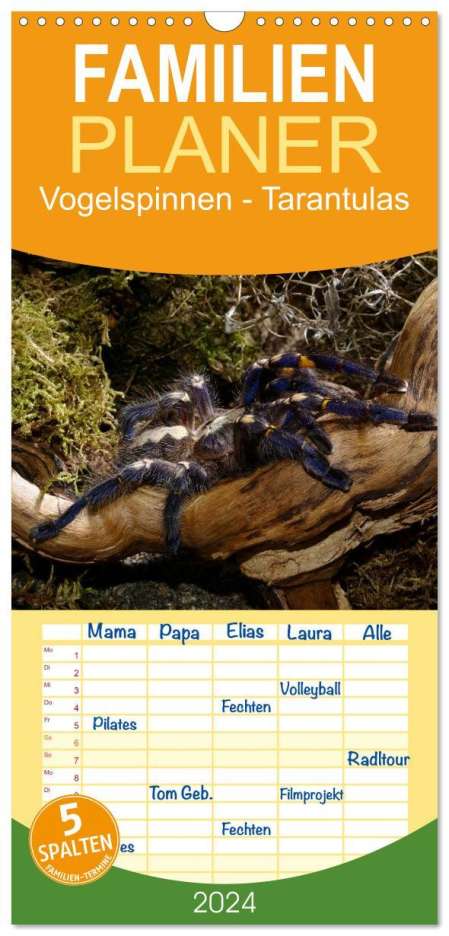 Benny Trapp: Familienplaner 2024 - Vogelspinnen - Tarantulas mit 5 Spalten (Wandkalender, 21 x 45 cm) CALVENDO, Kalender