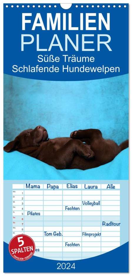 Jeanette Hutfluss: Familienplaner 2024 - Süße Träume 2024 - schlafende Hundewelpen mit 5 Spalten (Wandkalender, 21 x 45 cm) CALVENDO, Kalender