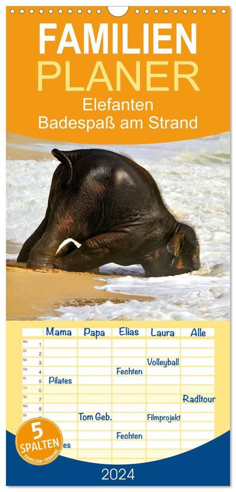 Elisabeth Stanzer: Familienplaner 2024 - Elefanten. Badespaß am Strand mit 5 Spalten (Wandkalender, 21 x 45 cm) CALVENDO, Kalender