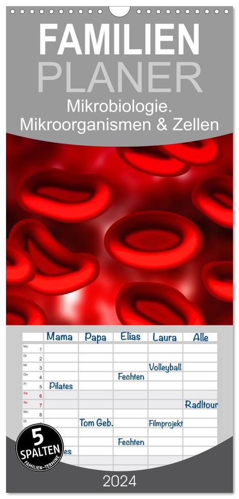 Elisabeth Stanzer: Familienplaner 2024 - Mikrobiologie. Mikroorganismen und Zellen mit 5 Spalten (Wandkalender, 21 x 45 cm) CALVENDO, Kalender