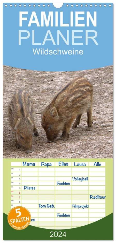 Martina Berg: Familienplaner 2024 - Wildschweine mit 5 Spalten (Wandkalender, 21 x 45 cm) CALVENDO, Kalender