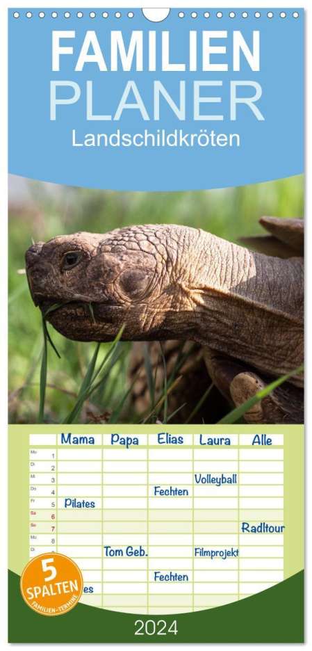Marion Sixt: Familienplaner 2024 - Landschildkröten mit 5 Spalten (Wandkalender, 21 x 45 cm) CALVENDO, Kalender